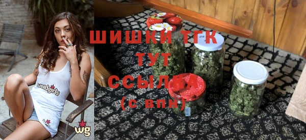 гидра Бикин