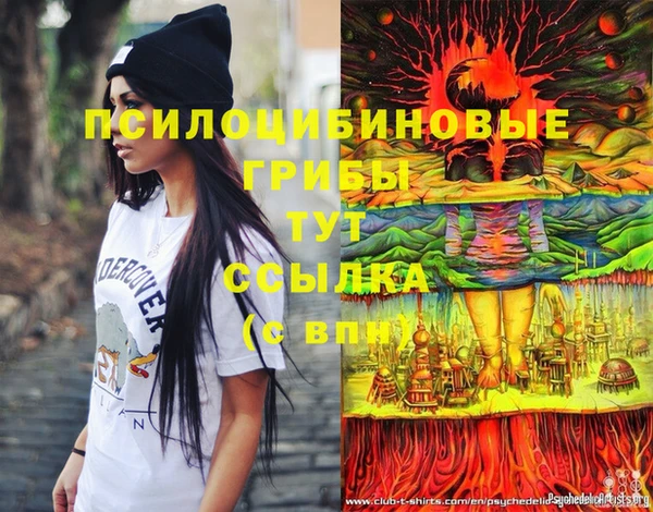 первитин Вяземский