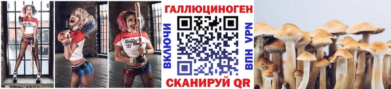 где купить   Горбатов  kraken ТОР  Псилоцибиновые грибы Psilocybine cubensis 